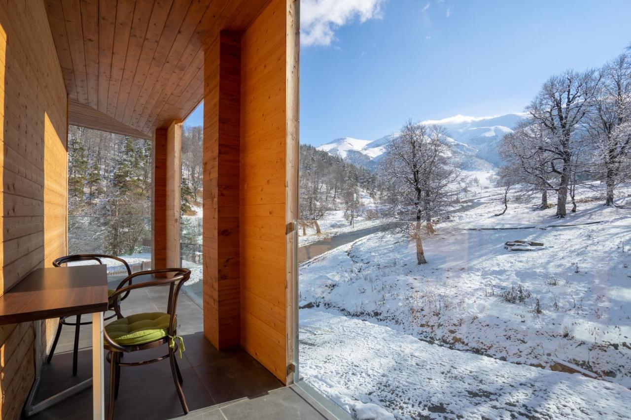 Didveli Valley Бакуриани Экстерьер фото